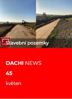 DACHI news 45